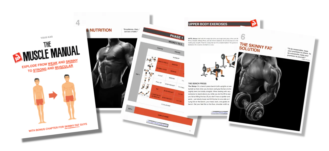 Muscle Manual Skinny Fat Edition